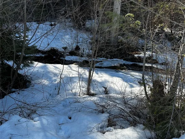 0 Boulder Creek Road, Curlew, WA 99118