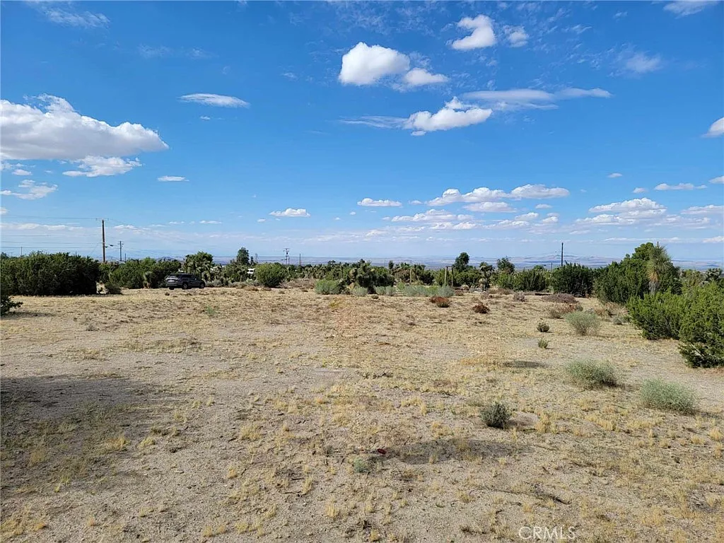 9855 Holiday Ln photo 1