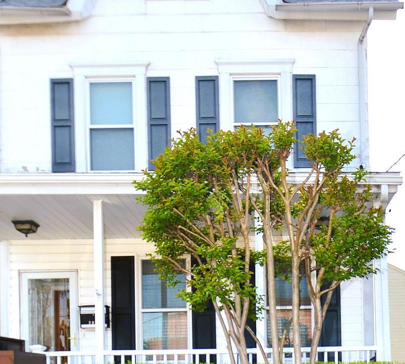 1st image of 203 Woodlawn Ave