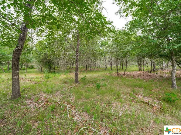 316 Shorthorn Rd, Stockdale, TX 78160