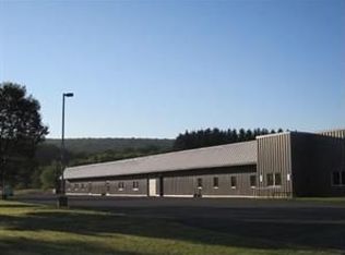 103 Leilanis Ln, Norwich, NY 13815