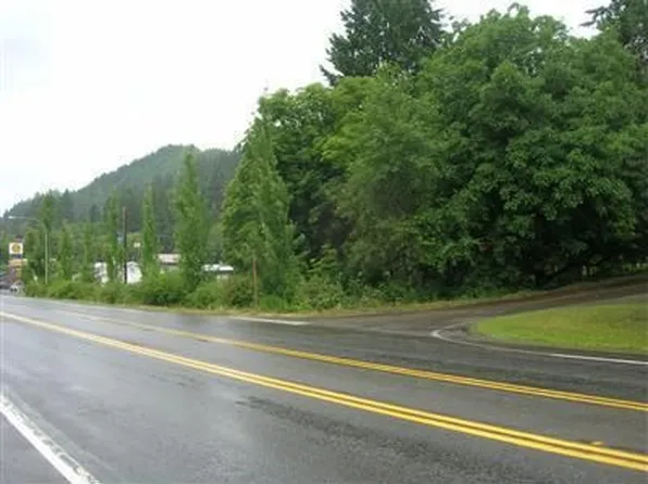 240 Silverbrook Rd, Randle, WA 98377