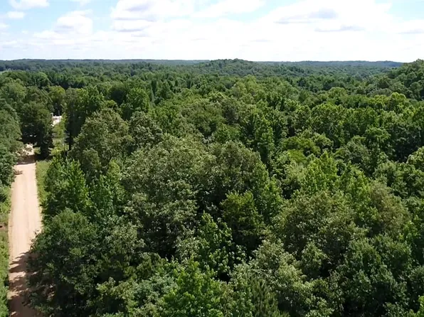 250 Red Thomas Ln, Newark, AR 72562
