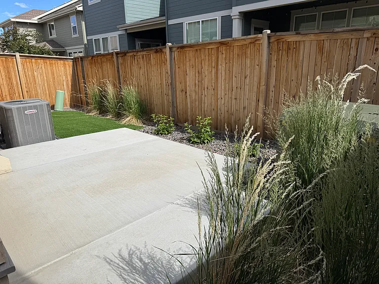 Low maintenance back yard
