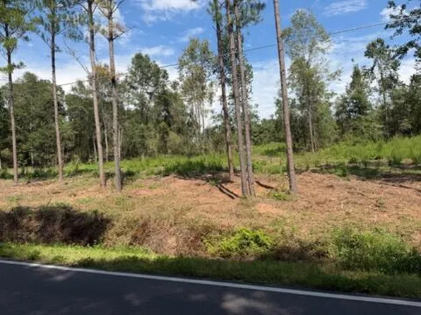 0 Huskey & Drew Rd, Dothan, AL 36303
