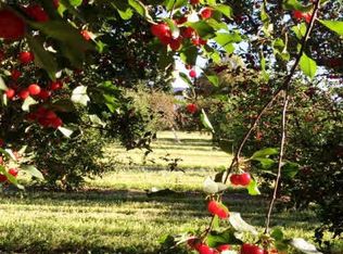 599 36 Rd, Palisade, CO 81526