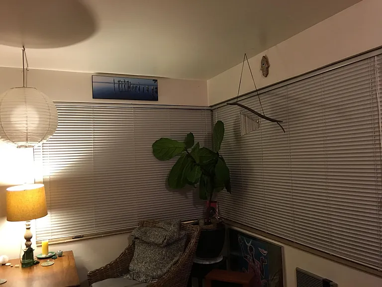 6538 Ravenna Ave NE #1 — Photo 5
