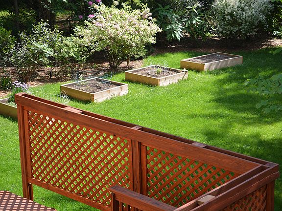 Large back yard with garden