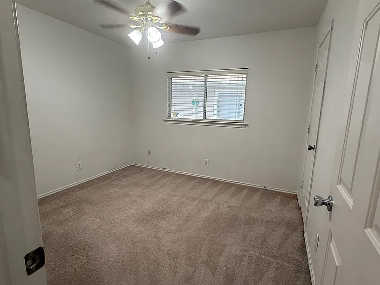 7254 Dwarf Palm — Photo 10