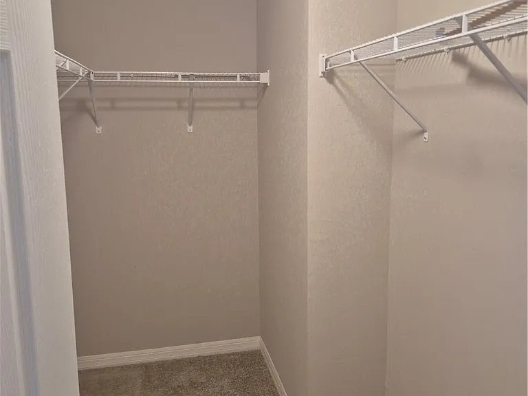8002 Vega Ct — Photo 6