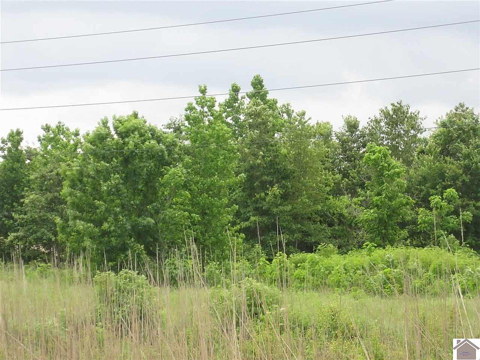 2nd image of 4868 Old Mayfield Rd