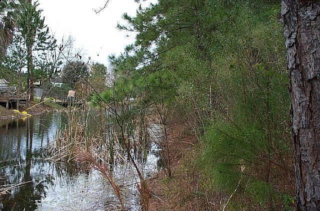 2nd image of 3437 Bayou Forest Dr