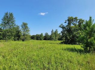 SW Dewey Ct, Fort White, FL 32038