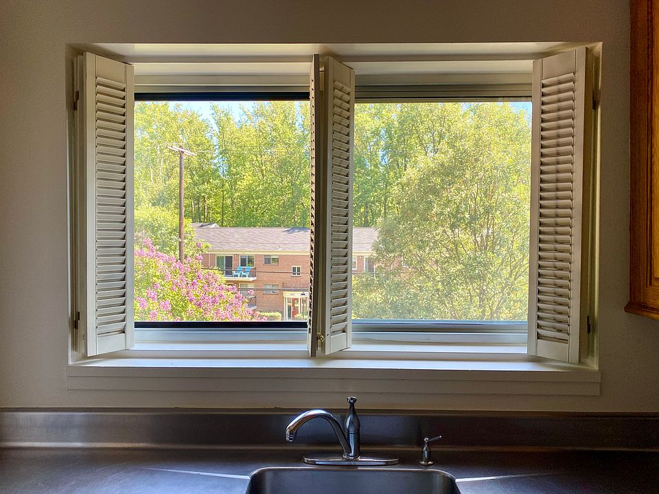 View from the kitchen sink