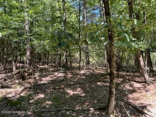 24 Arlene Court, Averill Park, NY 12018