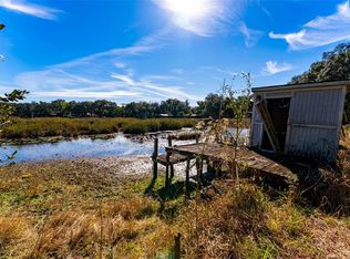 24971 NE 135th St, Salt Springs, FL 32134