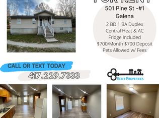 501 Pine St #1, Galena, MO 65656