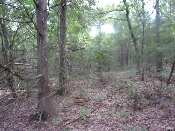 Fm 2339, Murchison, TX 75778