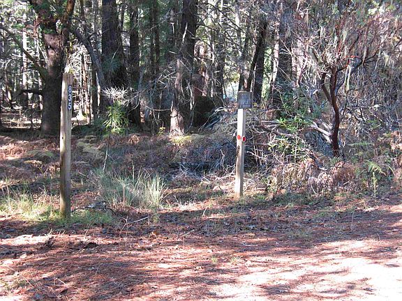 5th image of 45740 Meadow Ln