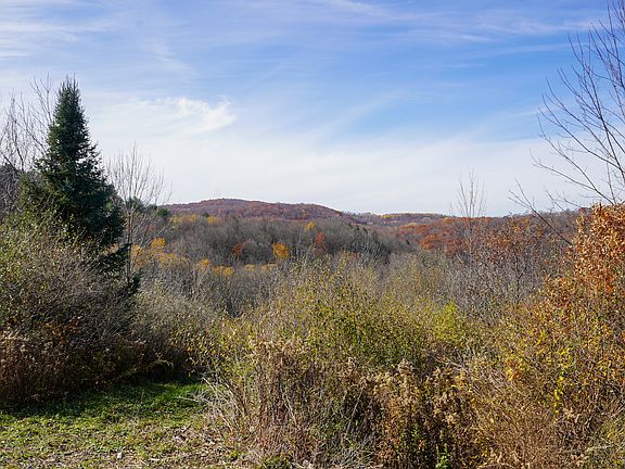 5th image of 1171 Durkin Hill Rd Lot Wp002