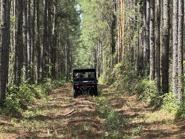 NEÂ 198TH AVE LOT 19, LAKE BUTLER, FL 32054