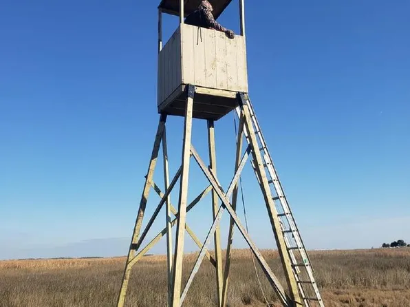 N South Toddville Rd, Toddville, MD 21672