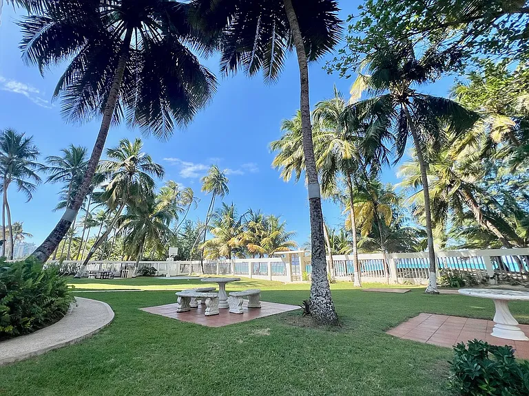 4429 Park Plaza Isla Verde Ave — Photo 35