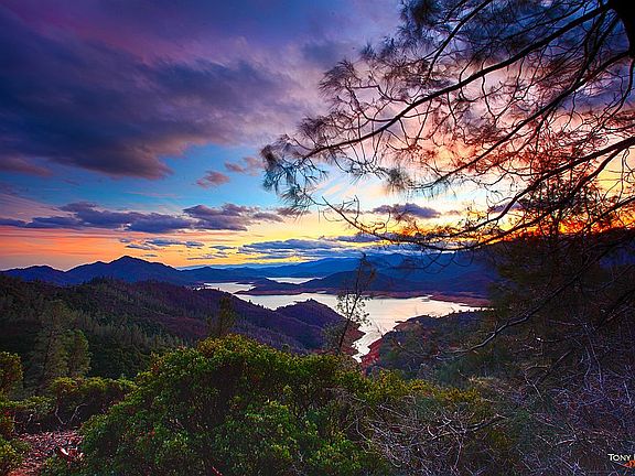 Virginia’s Cove looking west