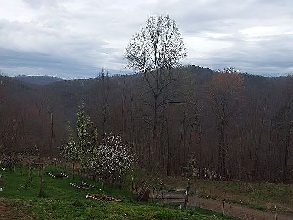 3rd image of 5271 Vardy Blackwater Rd