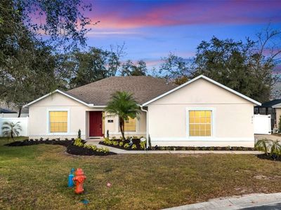 311 Paradise Woods Pl, Davenport, FL, 33896