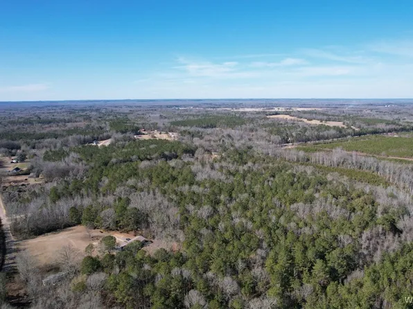 0 Gabriel Creek Rd, Moundville, AL 35474