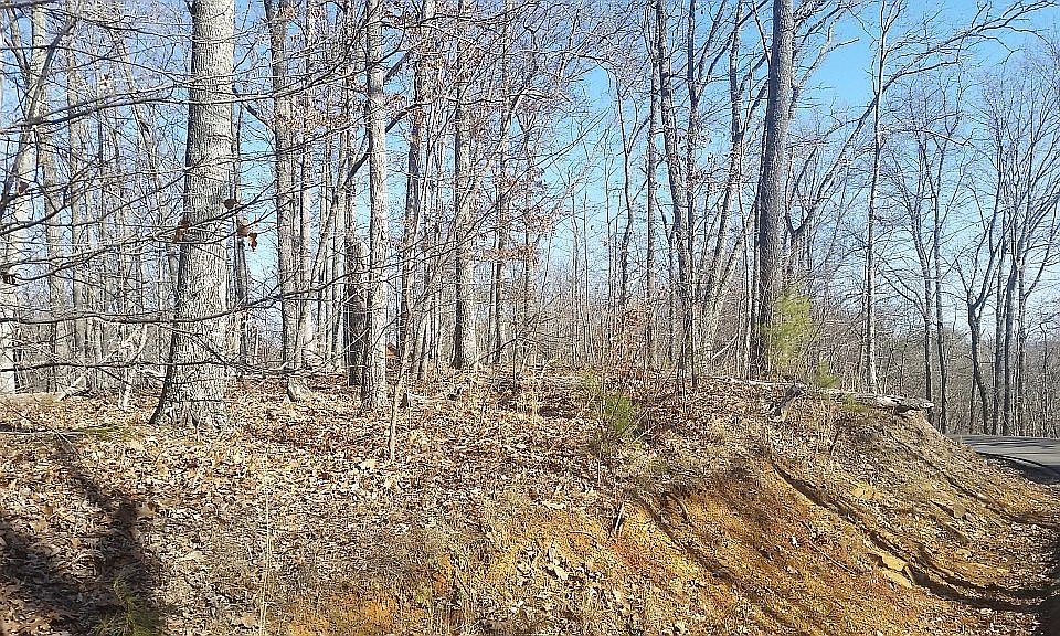 1st image of 1409 Echota Ln