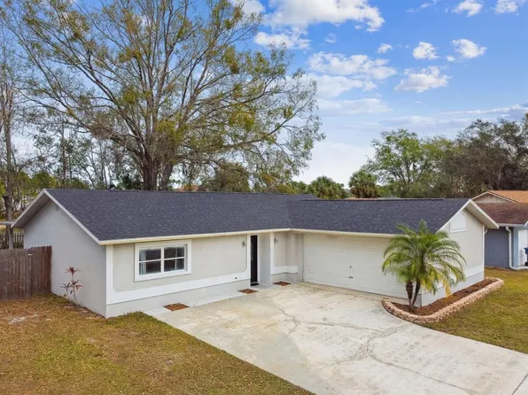 4920 Steel Dust Ln, Lutz, FL 33559