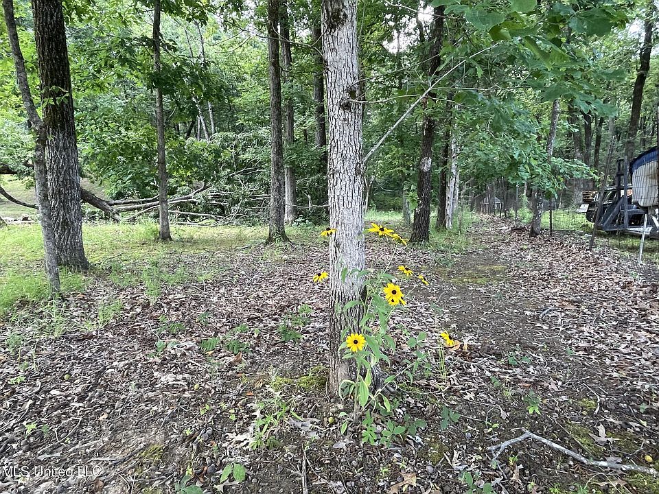 1st image of 23 Sardis Lake Dr