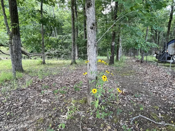 23 Sardis Lake Dr, Batesville, MS 38606