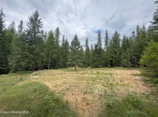456 Tamarack Ln, Sagle, ID 83860