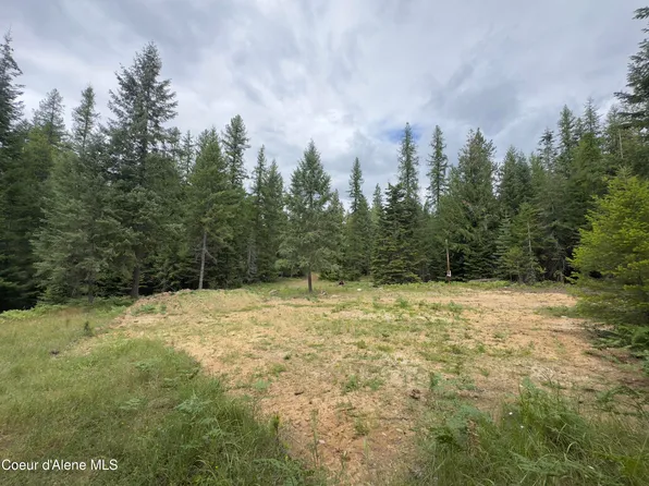 456 Tamarack Ln, Sagle, ID 83860