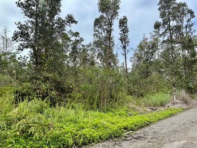 16-1310 Poouli Rd Lot 5704, Kurtistown, HI, 96760