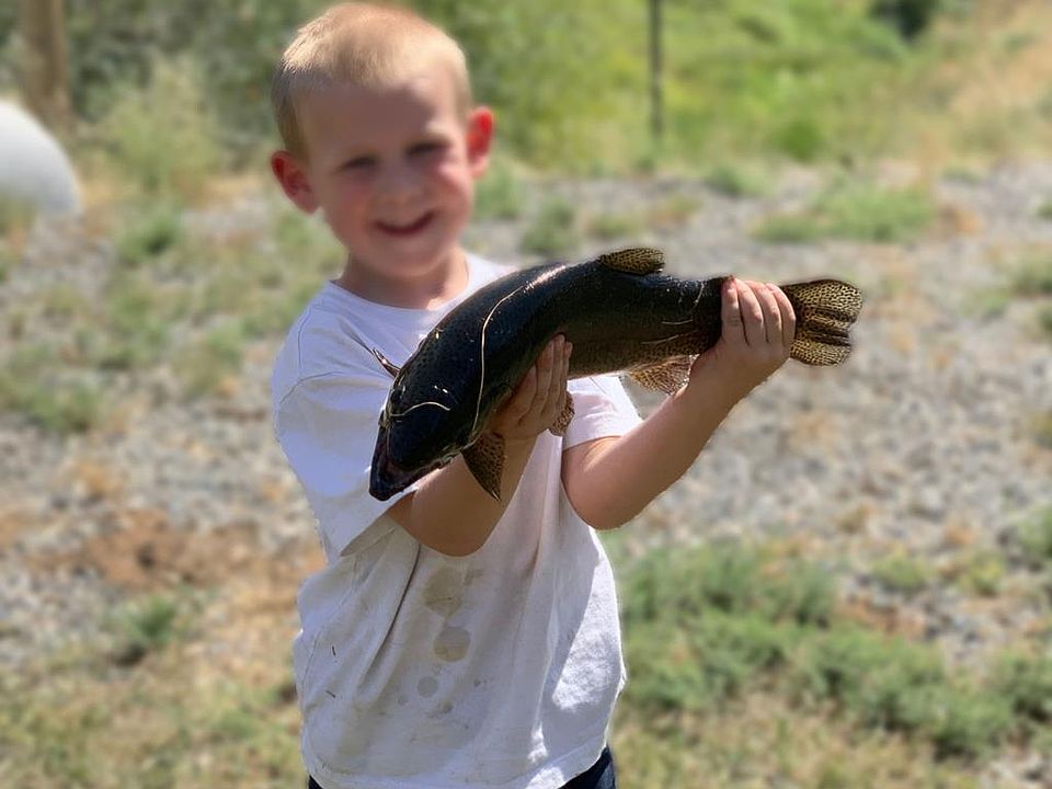 55th image of this home