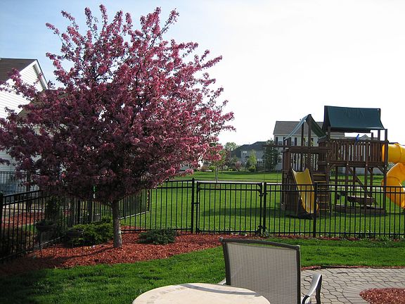 View from Back Patio