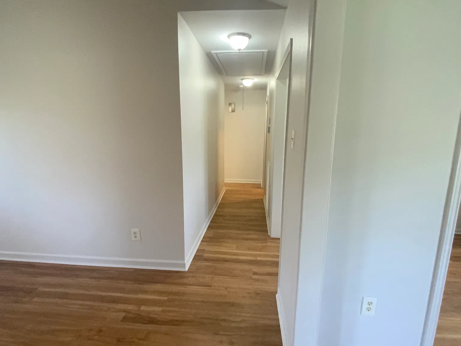 Albert St, Mandeville — Photo 4