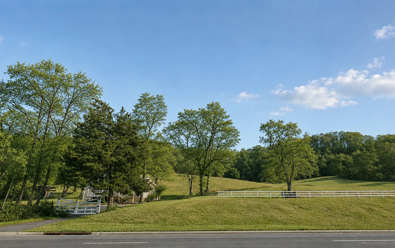 3 Bed, 2 Bath Home on Large Lot in Brentwood on Franklin Rd. — Photo 4