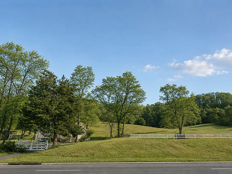 1445 Franklin Rd — Photo 3