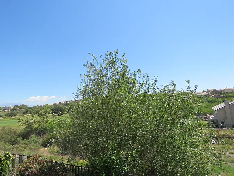 35063 Hogan Dr — Photo 3