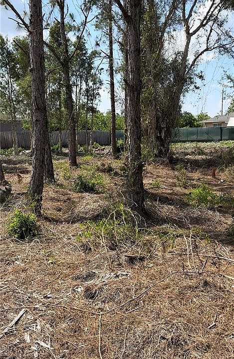 2nd image of 917-919 Jaguar BLVD