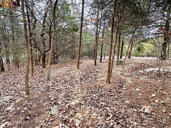 48th image of this home