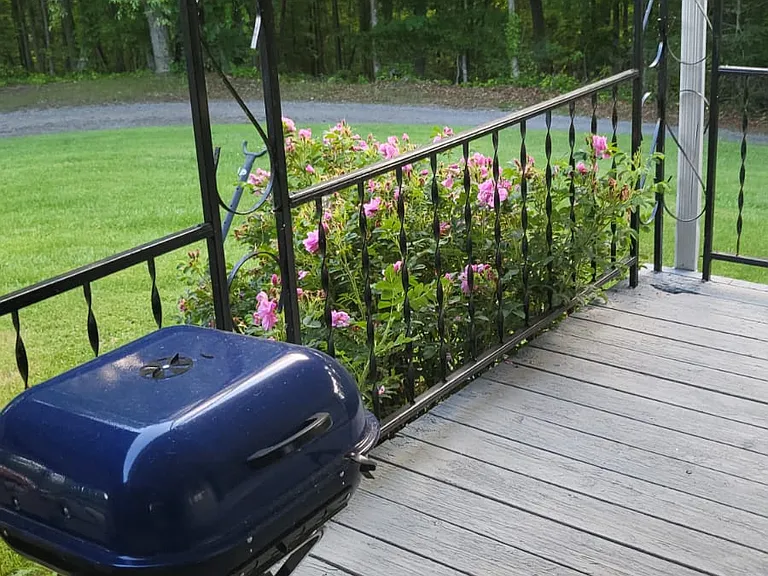 Side porch overlooking mountains