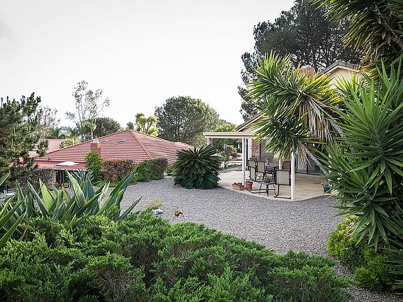 Easy Care Landscaping