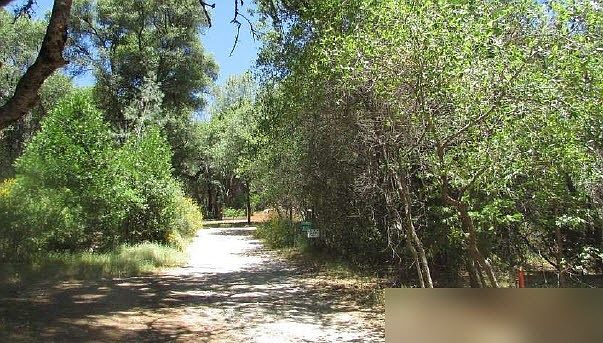 2nd image of 23522 Pine Log Rd