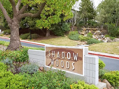 Shadow Woods